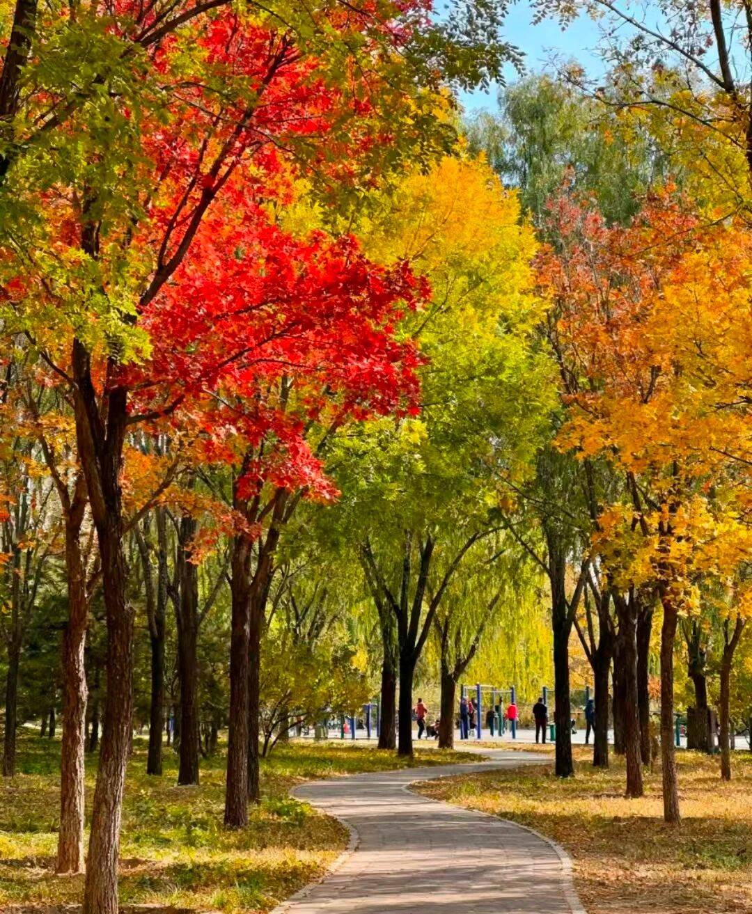 制游口碑榜：好途居首十大优选各藏惊喜j9九游真人游戏第一品牌北京私人定(图2)