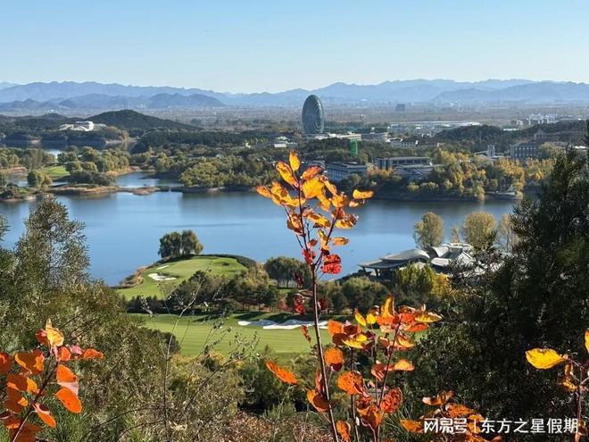 游公司TOP5｜资源覆盖率98%×用户口