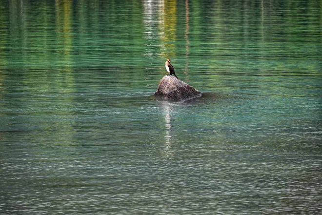 OP5精选榜单深度测评爸妈放心游首选j9国际「12月榜单」阿勒泰旅行社T(图1) OP5精选榜单深度测评爸妈放心游首选j9国际「12月榜单」阿勒泰旅行社T(图1)