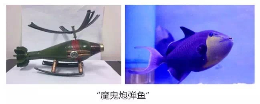 出海昌首部4D巨制《海洋之光J9九游会青岛海昌极地重磅推(图2)