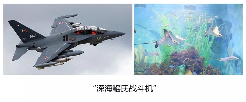 出海昌首部4D巨制《海洋之光J9九游会青岛海昌极地重磅推(图5) 出海昌首部4D巨制《海洋之光J9九游会青岛海昌极地重磅推(图5)